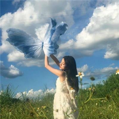 插翅难飞