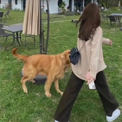 万族之劫第二季